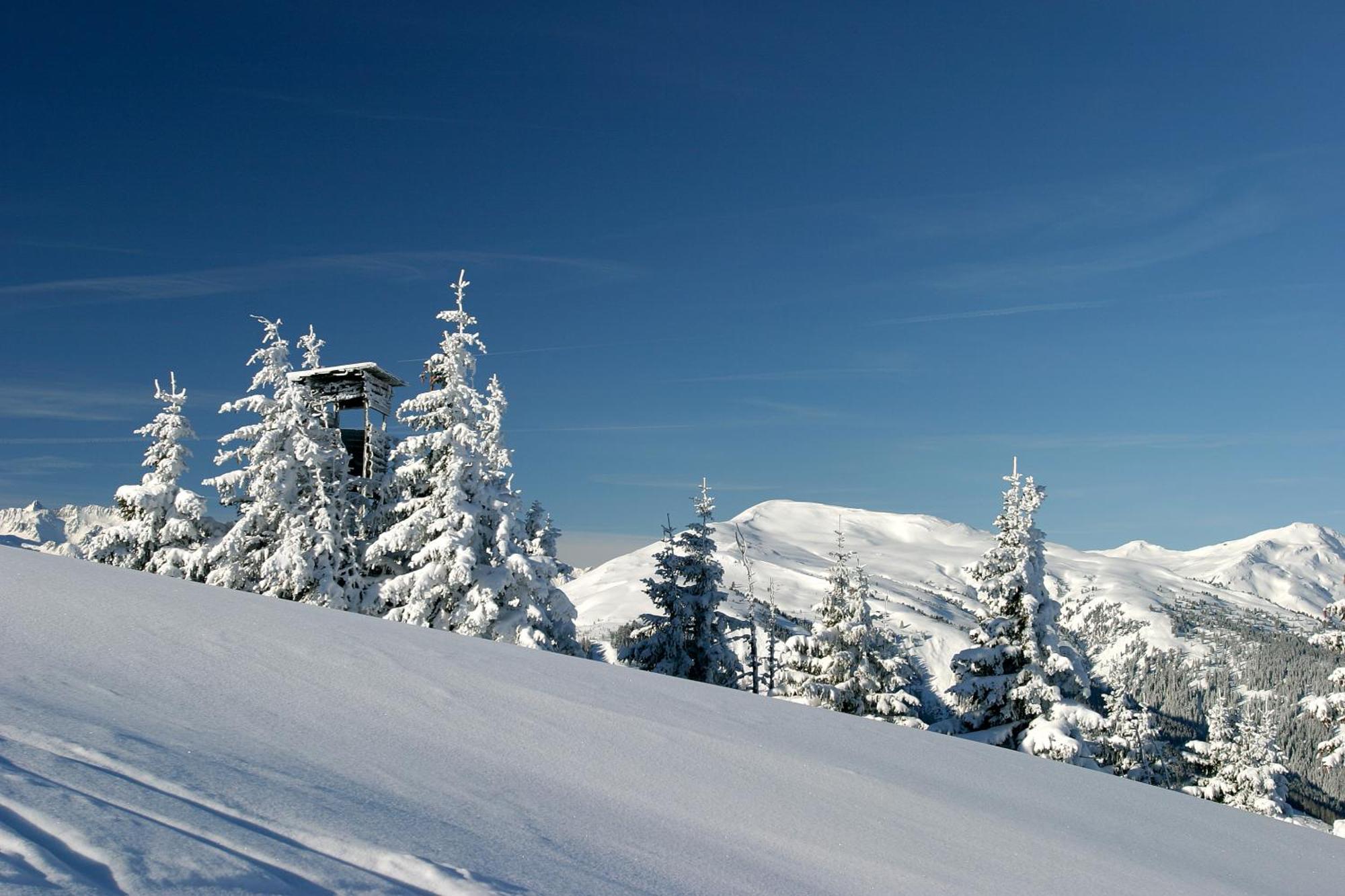 Hotel Dorfgasthof Schloesslstube Stuhlfelden Екстер'єр фото